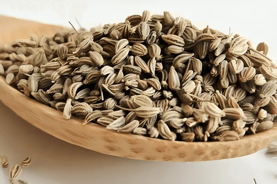 Ajwain  - Export Quality Indian Spice