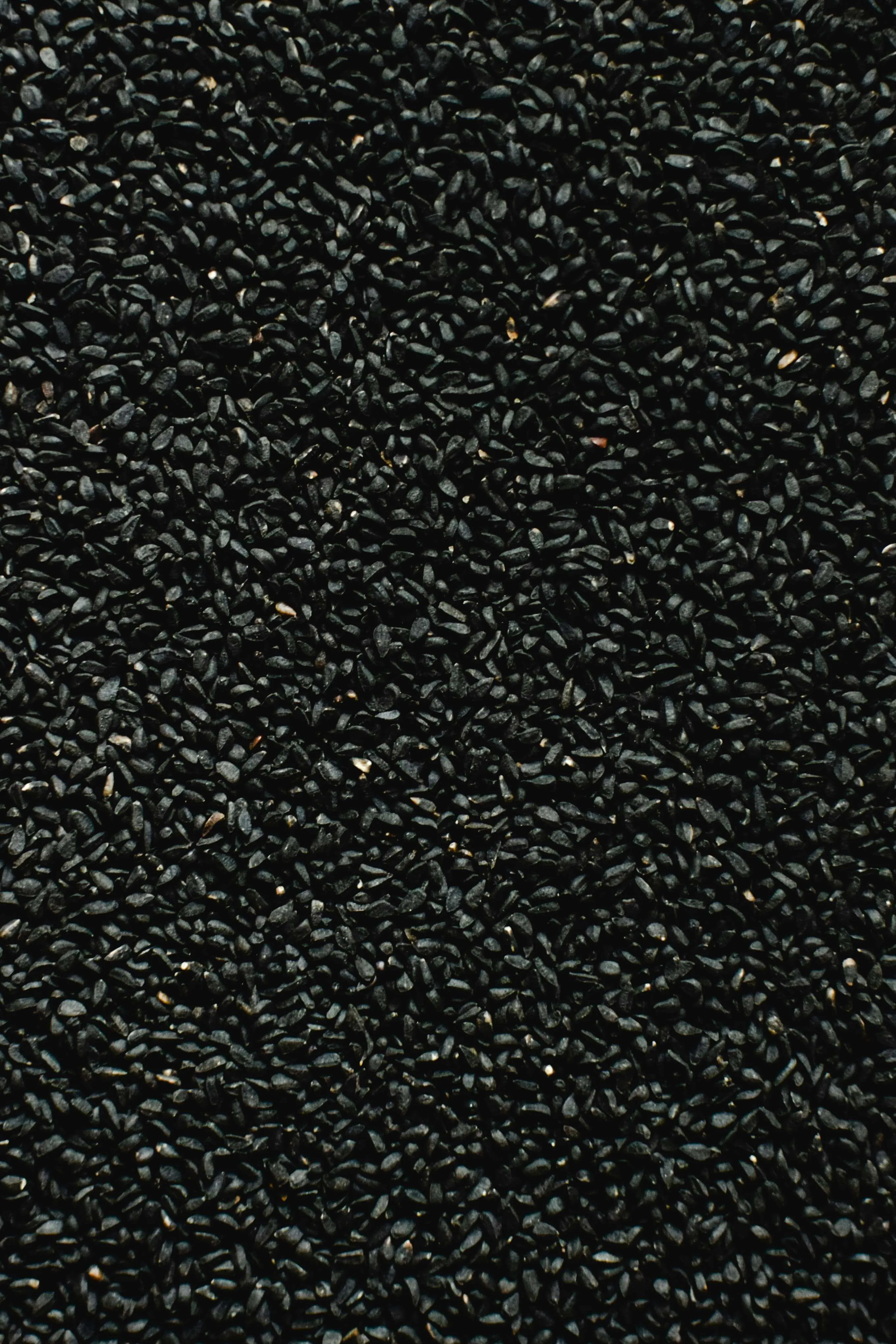 Black Cumin (Kalonji) - Export Quality Indian Spice