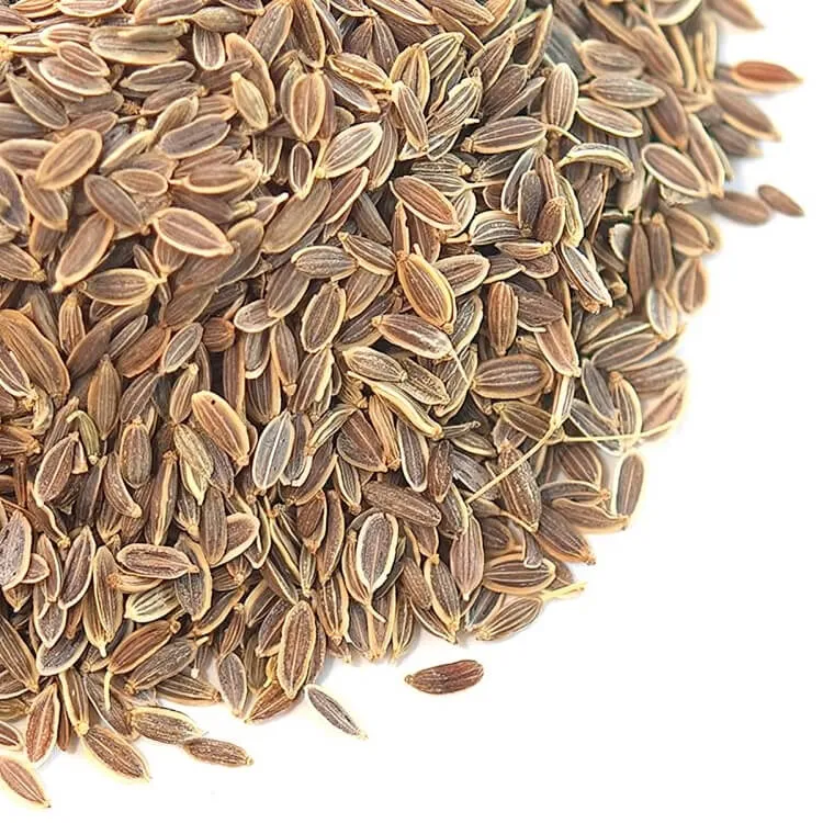 Dill Seeds - Export Quality Indian Spice