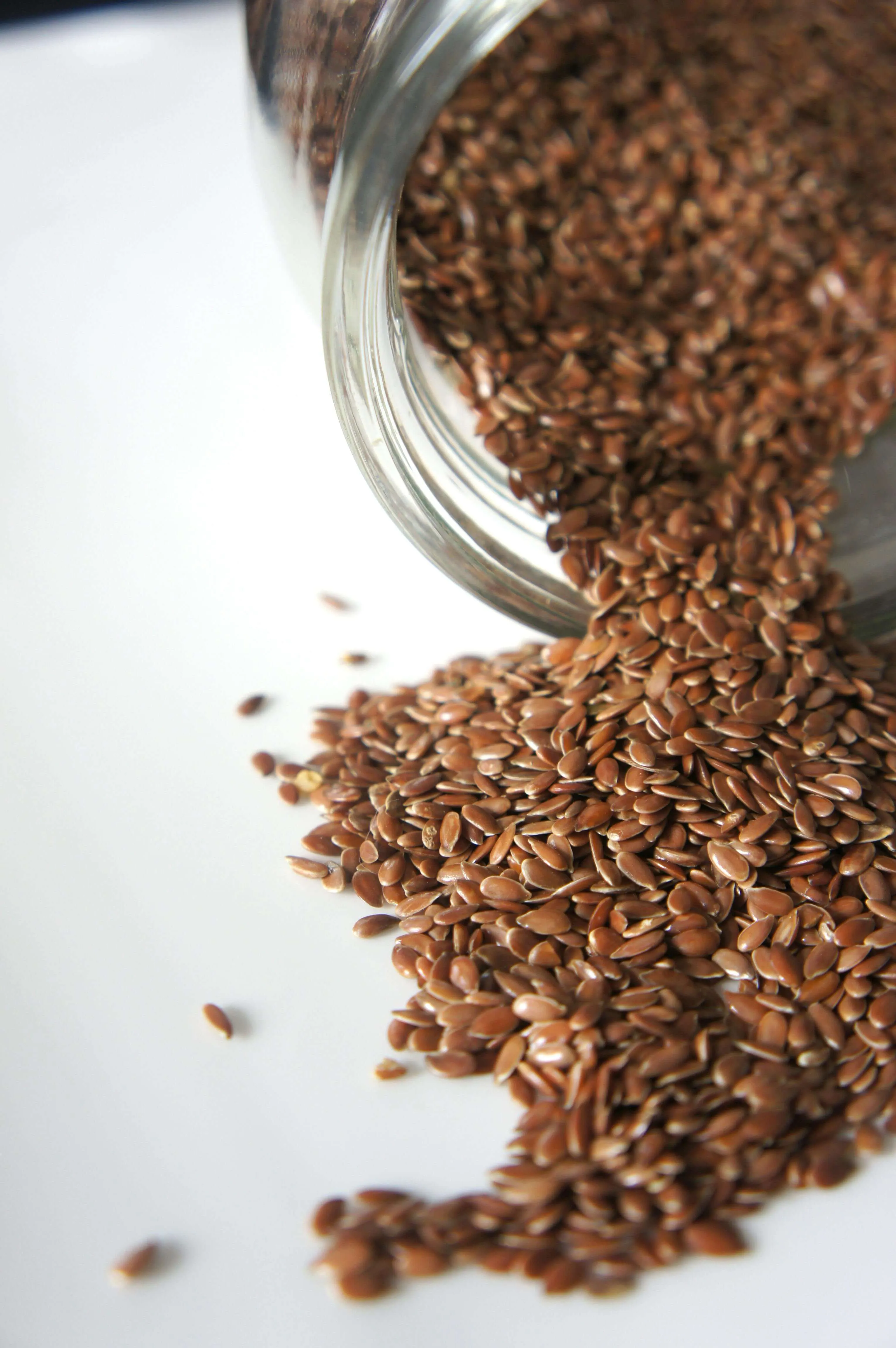Flax Seed - Export Quality Indian Spice