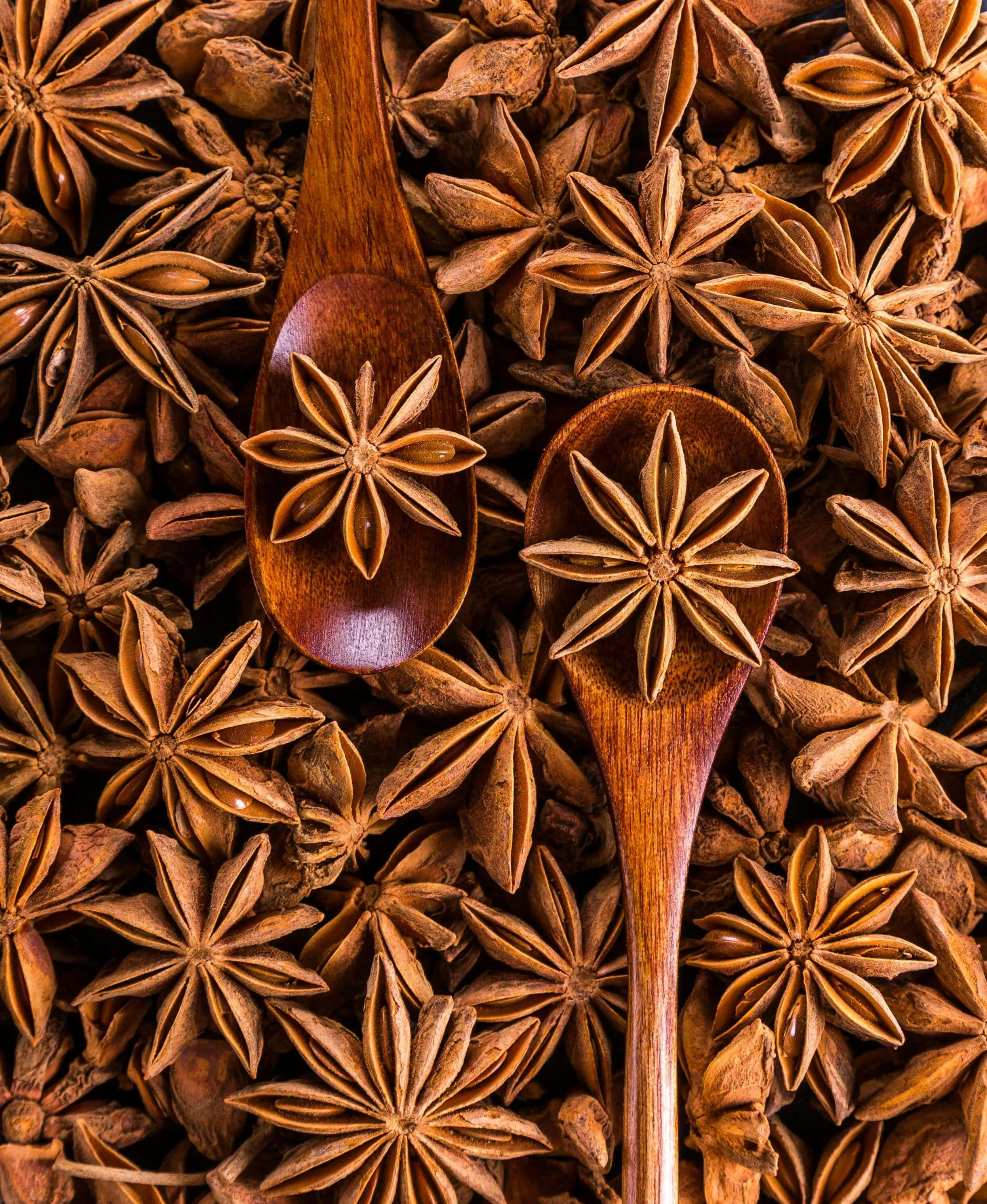 Star Anise - Export Quality Indian Spice